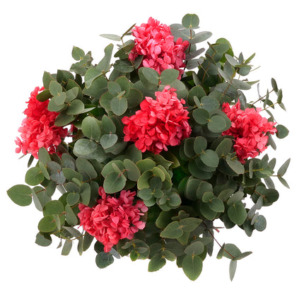 03001859_eukalyptusstrauss-mit-roter-in-eterno-hortensie