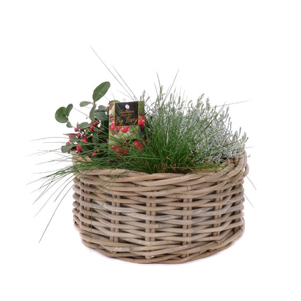03001872_pflanzenmix-im-weidenkorb