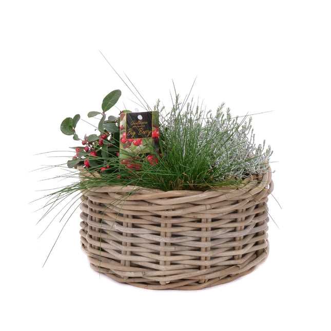 03001872_pflanzenmix-im-weidenkorb