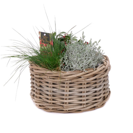 03001872_pflanzenmix-im-weidenkorb