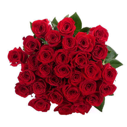 03001941_amore-30-rote-rosen