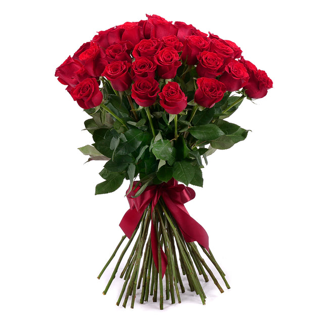 03001942_amore-40-rote-rosen