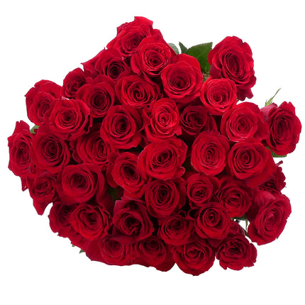 03001942_amore-40-rote-rosen