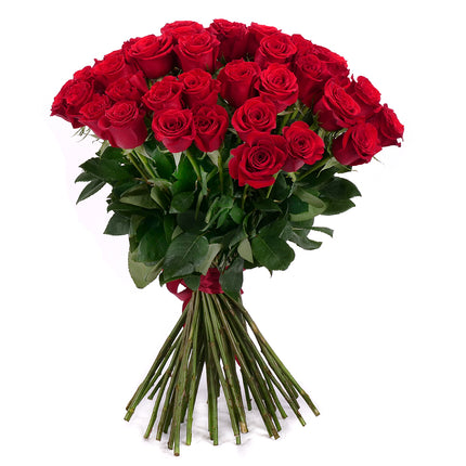 03001943_amore-50-rote-rosen