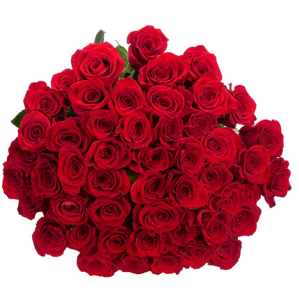 03001943_amore-50-rote-rosen