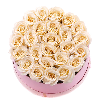 03002053_irigo-runde-rosa-box-l-mit-25-parfume-duftrosen