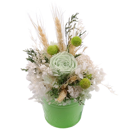 03002067_in-eterno-gruner-metalleimer-monalisa-lime-green