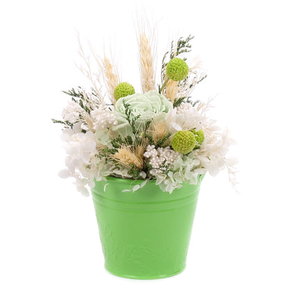 03002067_in-eterno-gruner-metalleimer-monalisa-lime-green