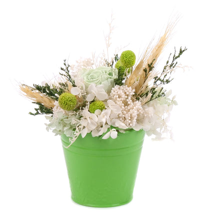03002067_in-eterno-gruner-metalleimer-monalisa-lime-green
