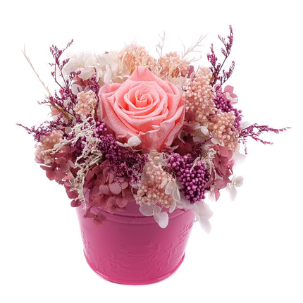 03002068_in-eterno-rosa-metalleimer-monalisa-pink-nectar
