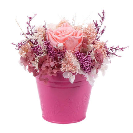 03002068_in-eterno-rosa-metalleimer-monalisa-pink-nectar