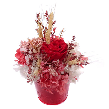 03002069_in-eterno-roter-metalleimer-monalisa-red