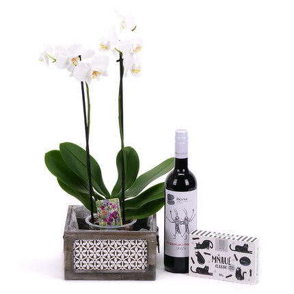 03002116_orchidee-in-einer-holzkiste-und-berta-wein