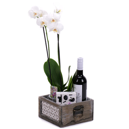 03002116_orchidee-in-einer-holzkiste-und-berta-wein