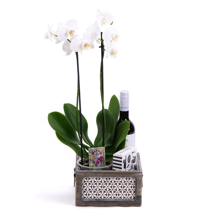 03002116_orchidee-in-einer-holzkiste-und-berta-wein