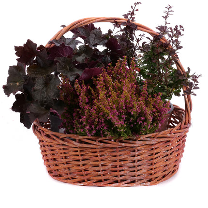 03002121_herbstdekoration-11