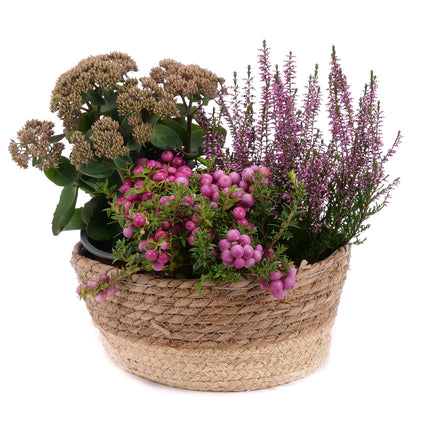 03002122_herbstdekoration-12
