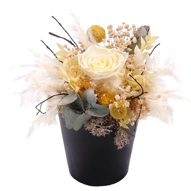 03100609_in-eterno-schwarze-box-mit-stabilisierter-cremefarbener-rose