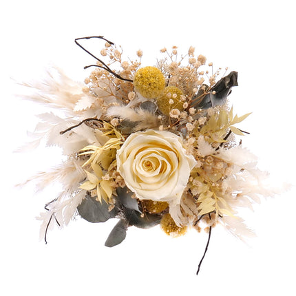 03100609_in-eterno-schwarze-box-mit-stabilisierter-cremefarbener-rose