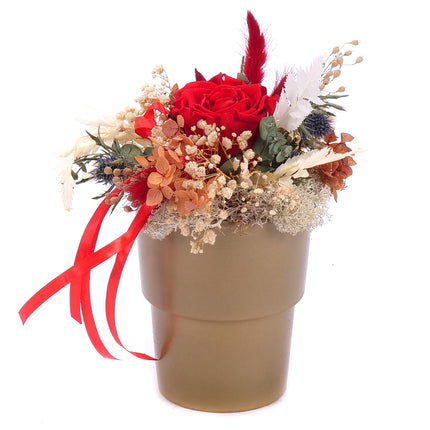 03100693_in-eterno-keramikbox-mit-roter-rose-monalisa-red