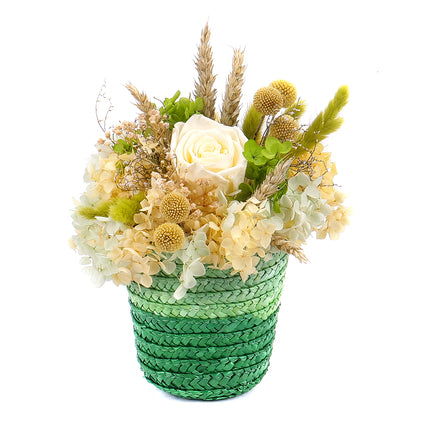 03100780_in-eterno-rattanbox-mit-cremefarbener-rose
