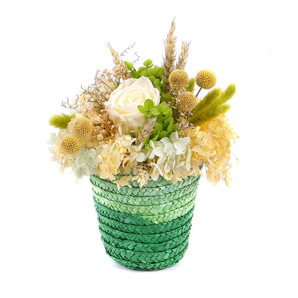 03100780_in-eterno-rattanbox-mit-cremefarbener-rose