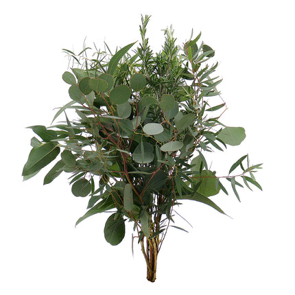 04500038_eukalyptus-mix-geschnittener-bund