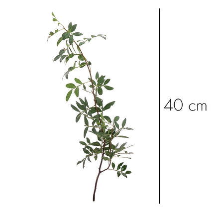 04500076_pistacia-lentiscus-10-zweige-bund