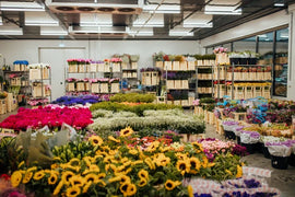 Frische Blumen haben wir auf Lager und die Sträuße werden ausschließlich von unseren Floristen gebunden