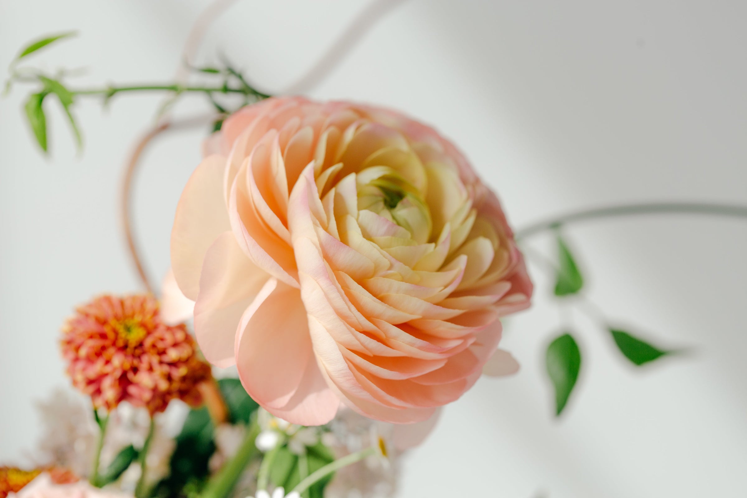 <h2>BLOG</h2>
